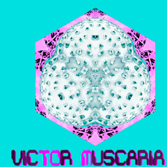 Victor Muscaria