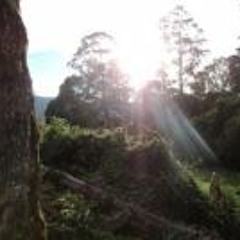 Pablo Ermitaño Gómez