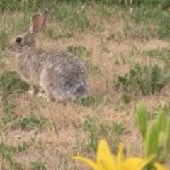 Breezy Mental Kiefair