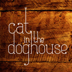 Cat In The Doghouse