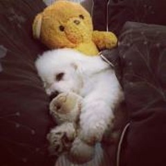 Rikara Ney'ite Tarya