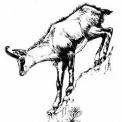 Andreas M. Tippelreither