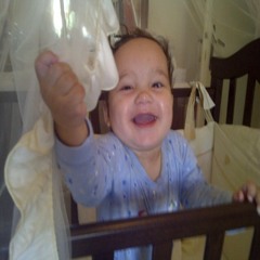 eltijani@hotmail.com