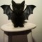 BatCat