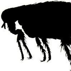 Assailant Jams Vol.01