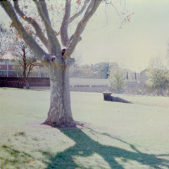 The Bells (Donald Fagen's Rescued From Total Barbarism Mix)