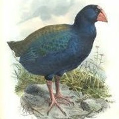 Hamish Robert Kilgour