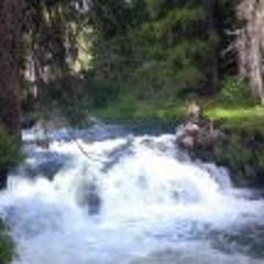 Robert Borden Endicott