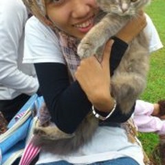 Ephoenixcrew Mira Erina