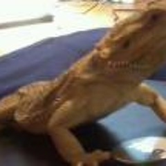 Sheila Diane Ratcliffe