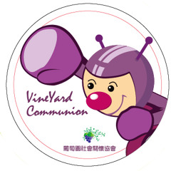 中區葡萄園vyc