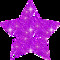 Daisy Star