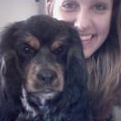 Chasing December Lights