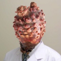 humanerorr