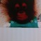 user310508