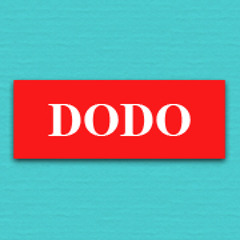 Official Dodo