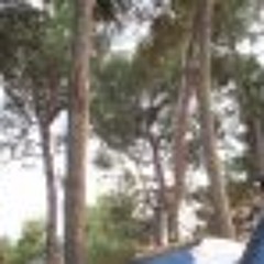 Tchai Toking Z ◣.◢