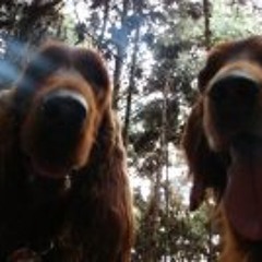 Jonathan Barreto Basabe