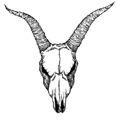 baphomet rec