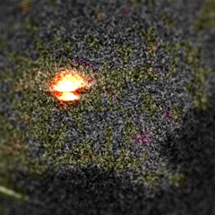 Hooray for Nicholas Paul