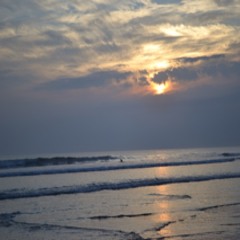 Michelle Johnson (MJ)