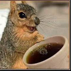 05 Kalgidhar da School (DJJOhAL.Com)