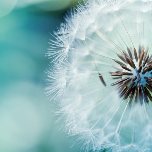 NExow Ft. Bijou Winters -Corrosion