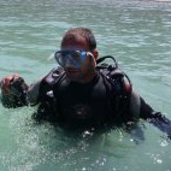 dmascaro30@hotmail.com