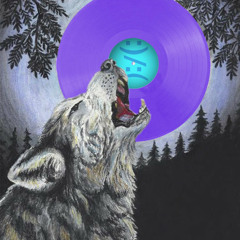 Funny / Not Funny Records