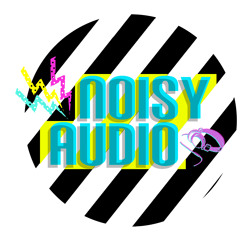 Noisy Audio