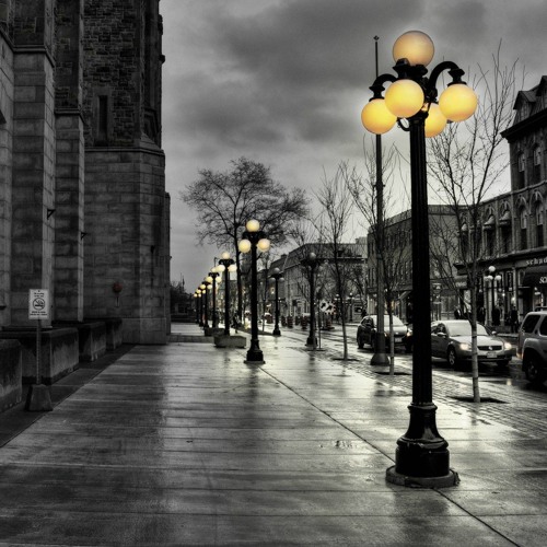 Leaves From The Vine