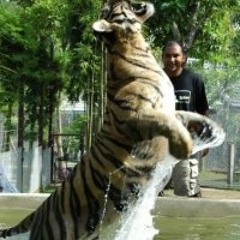 Frederic Karim Archer