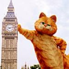 Cat's List