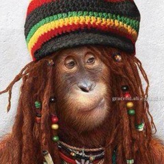 djwayne3sixti