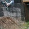 Andrew Kane 3