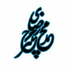 Mohammad Reza Changizi