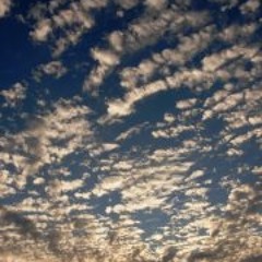 Bruno Wasabi-Sunblast