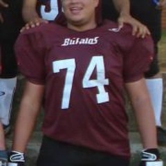 Vinicius S. P. Leônidas