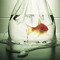 arts_id