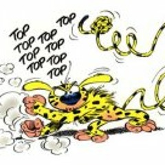 Minotaur Electronics