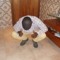 Gilberto Shakur