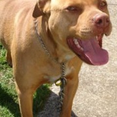 big_dee78@yahoo.co.nz