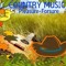 Countrymusic 1