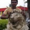 ABHISHEK3512
