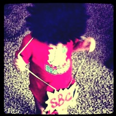 StupiidboyyCrew ( SBC )