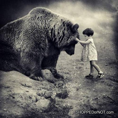 Ginger and The Bear