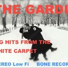 White Carpet Big Hits