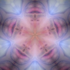 MothersMarketHomeless