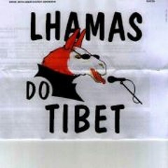 Lhamas Do Tibet