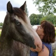 Marie-Céline Salingue